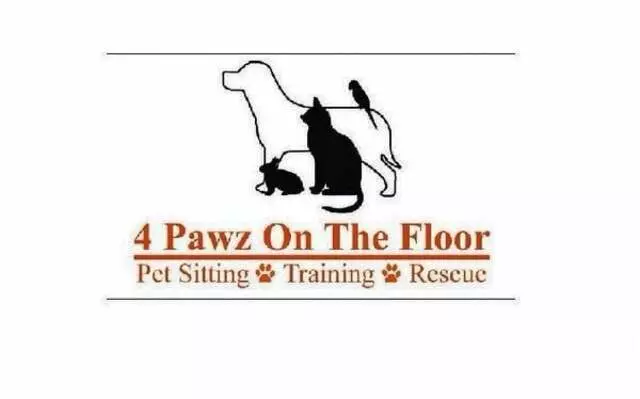 4 Pawz On the Floor