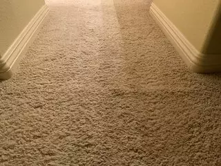 GreenWay Carpet Cleaning Of Enterprise