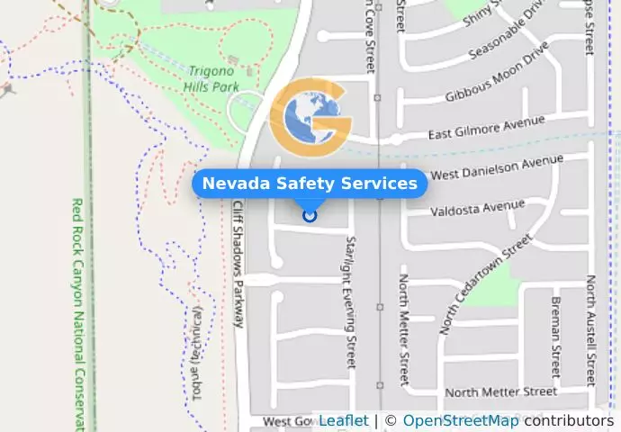 Nevada Safety Services