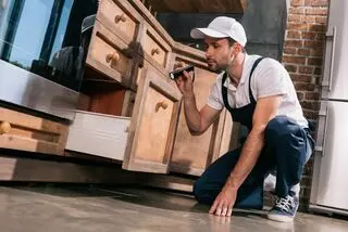 Green Wave Pest Solutions