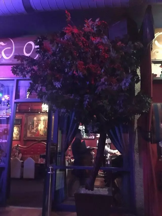 Paymon’s Mediterranean Cafe & Lounge