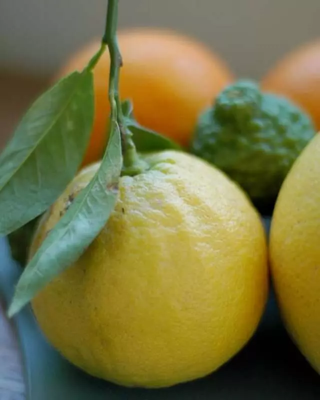 Aromasys