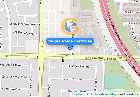 Vegas Voice Institute