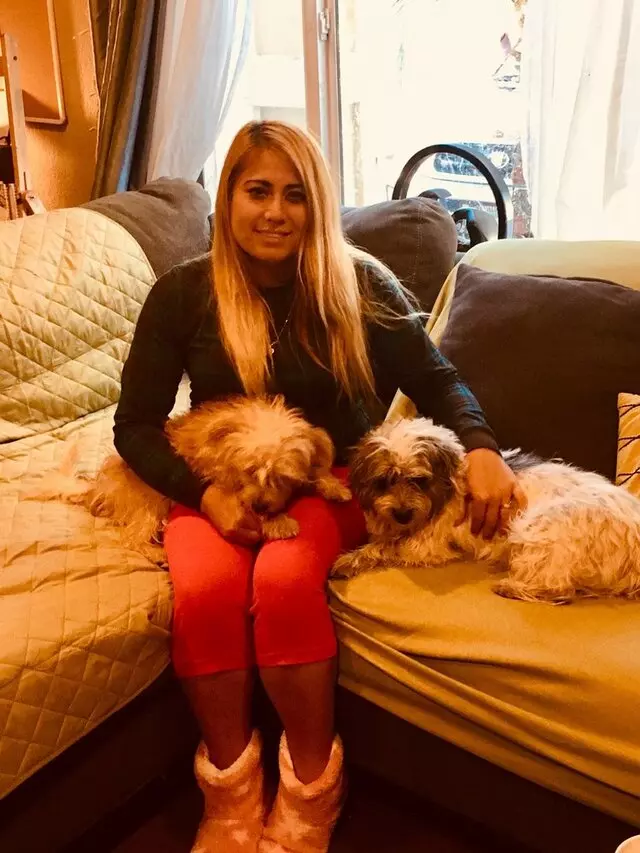 Jessy&apos;s Doggie Daycare