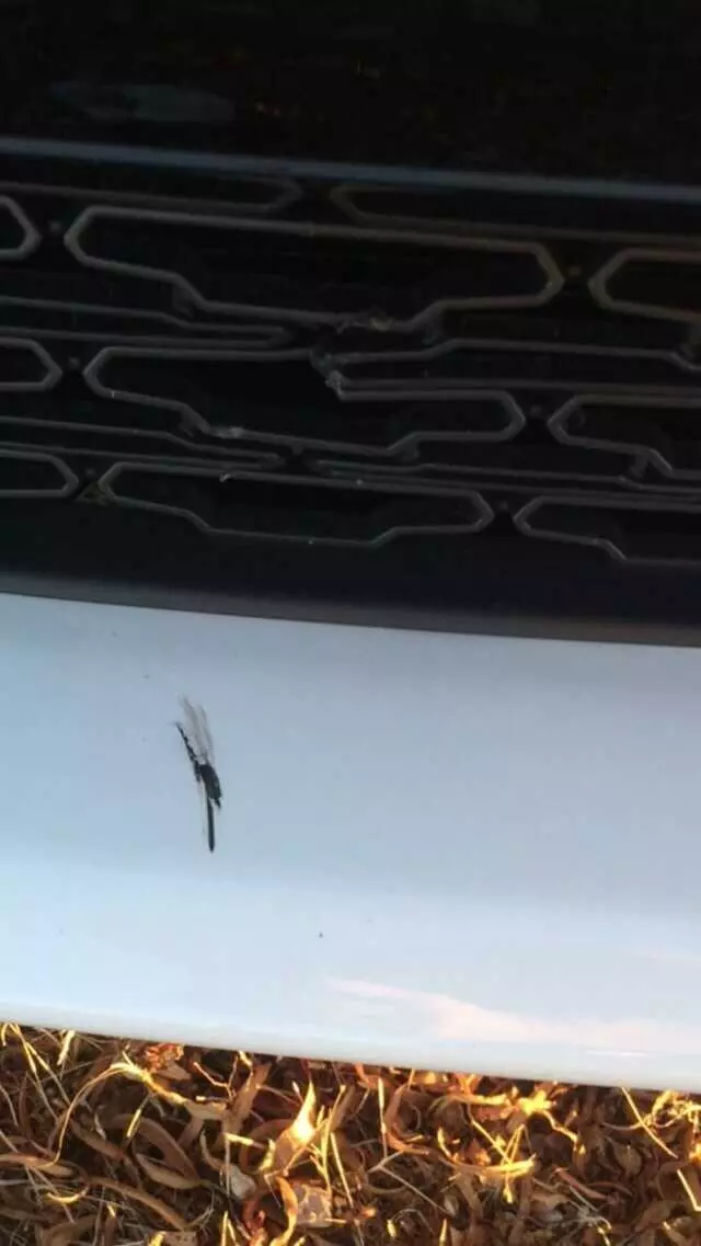 ABC Auto Body