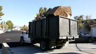 2 The Dump