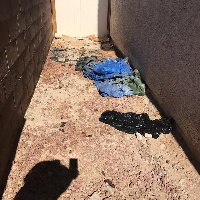 Poopy Scoopy