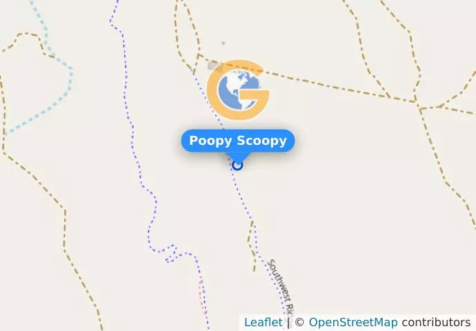 Poopy Scoopy