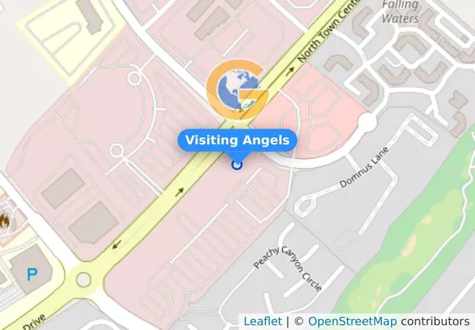 Visiting Angels