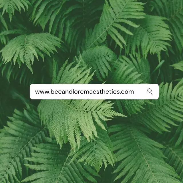 Bee & Lorem Aesthetics