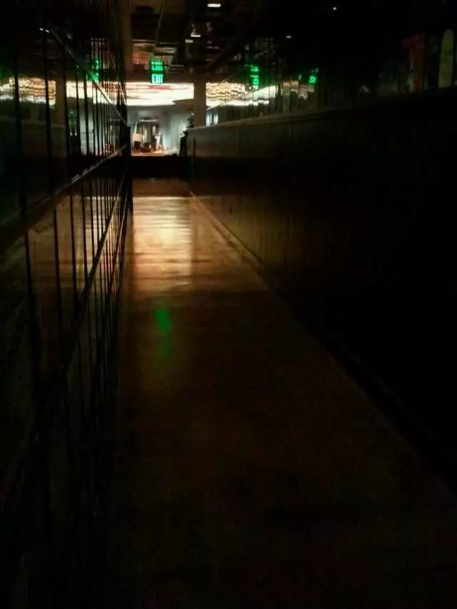 Secret Pizza