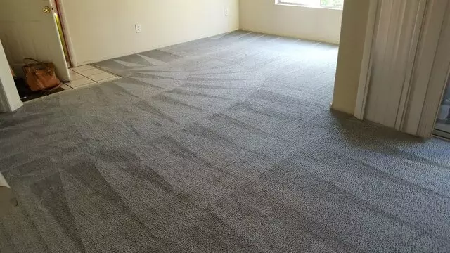 Arcane Carpet Cleaners