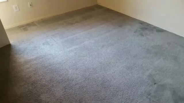 Arcane Carpet Cleaners