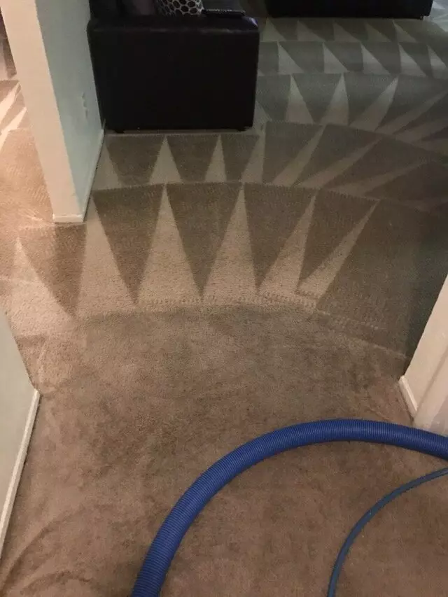 Arcane Carpet Cleaners