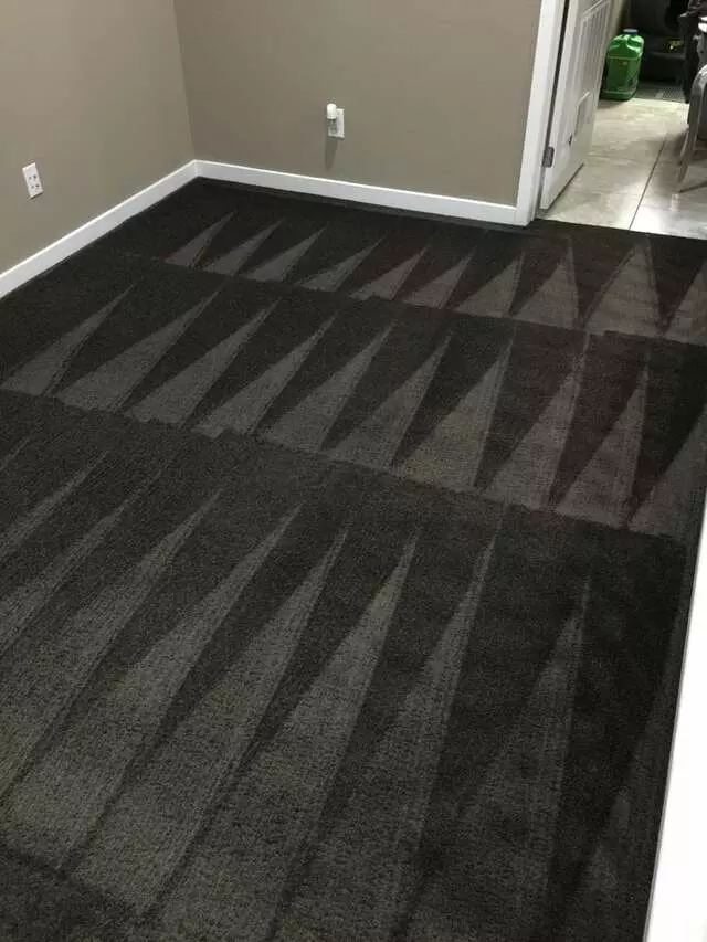 Arcane Carpet Cleaners