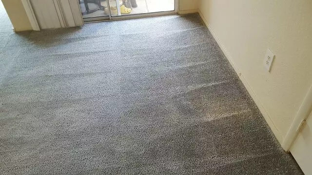 Arcane Carpet Cleaners