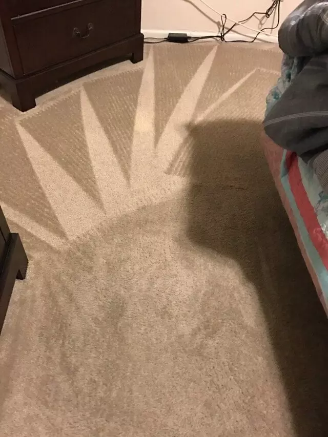 Arcane Carpet Cleaners