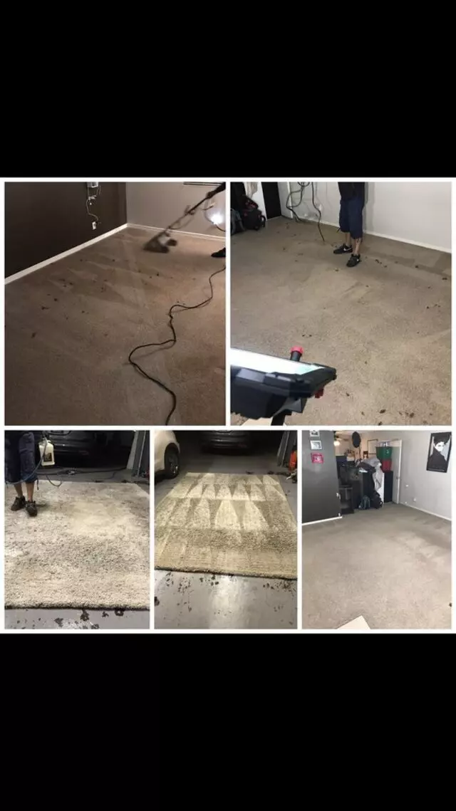 Arcane Carpet Cleaners