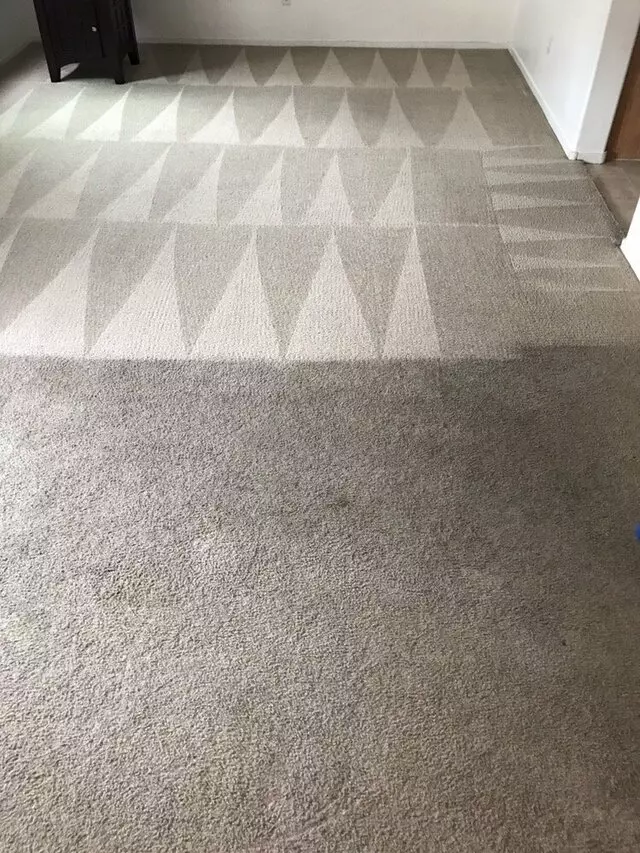 Arcane Carpet Cleaners