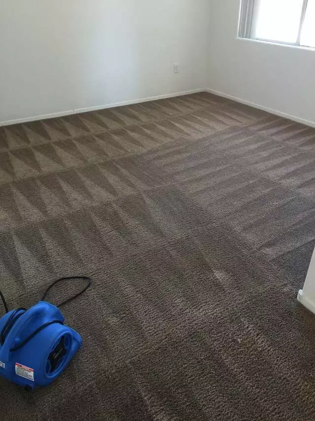 Arcane Carpet Cleaners