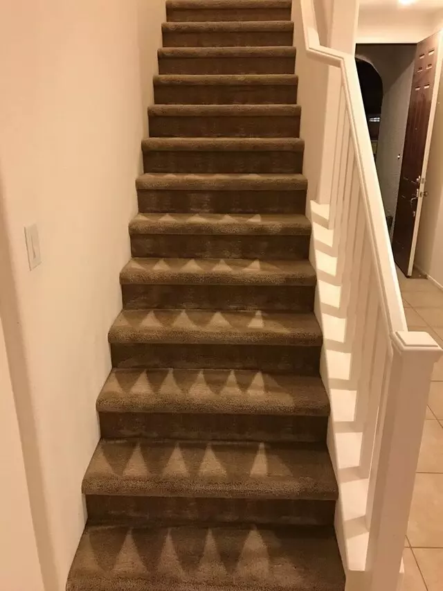 Arcane Carpet Cleaners