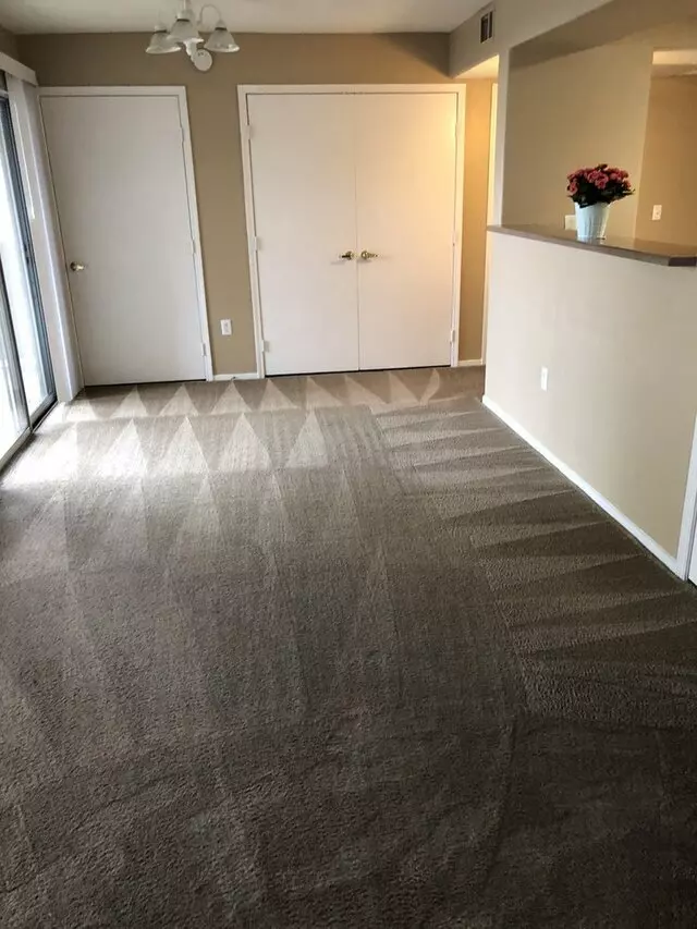 Arcane Carpet Cleaners