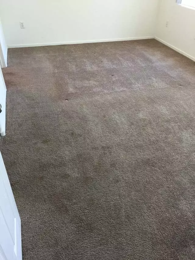 Arcane Carpet Cleaners