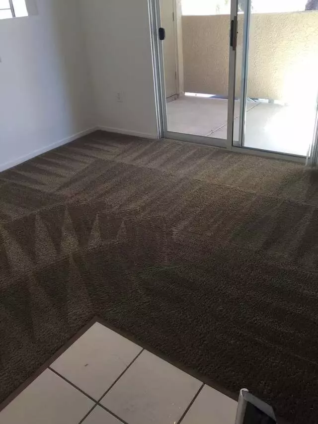 Arcane Carpet Cleaners