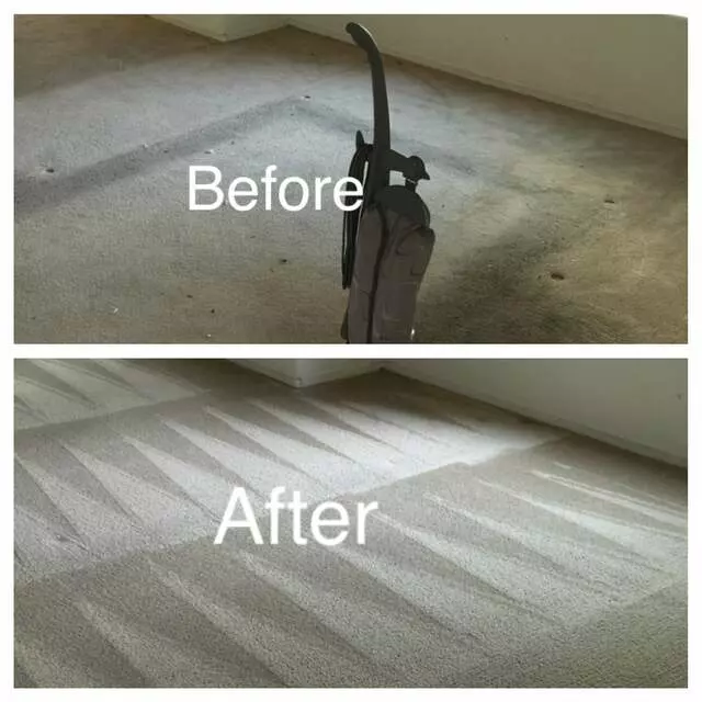 Arcane Carpet Cleaners