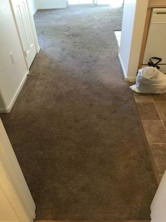 Arcane Carpet Cleaners