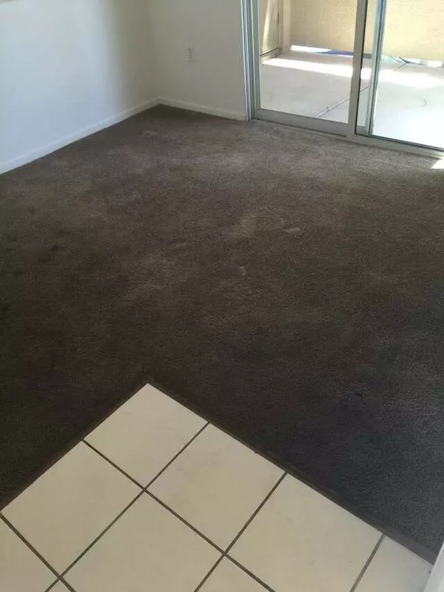 Arcane Carpet Cleaners
