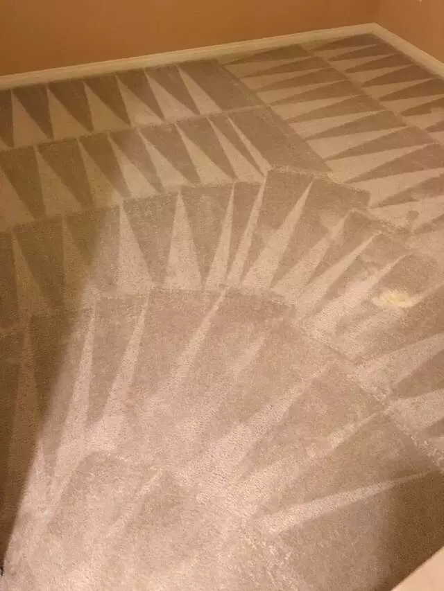 Arcane Carpet Cleaners