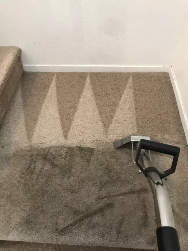 Arcane Carpet Cleaners