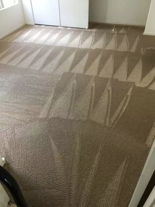 Arcane Carpet Cleaners