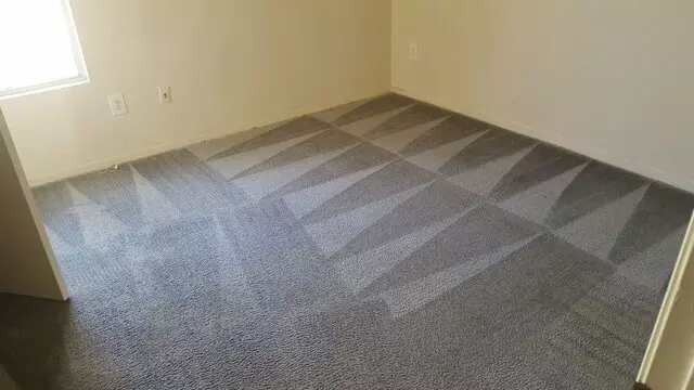 Arcane Carpet Cleaners