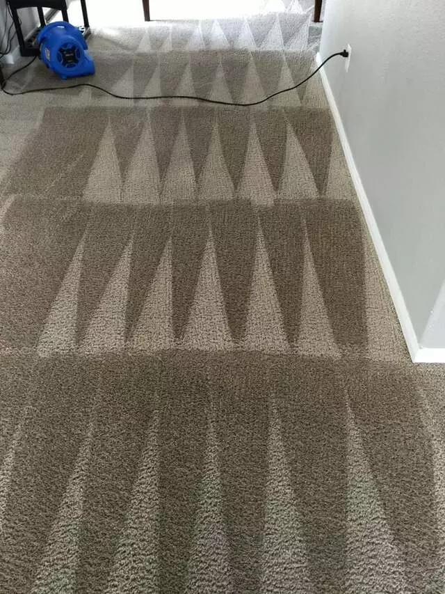 Arcane Carpet Cleaners
