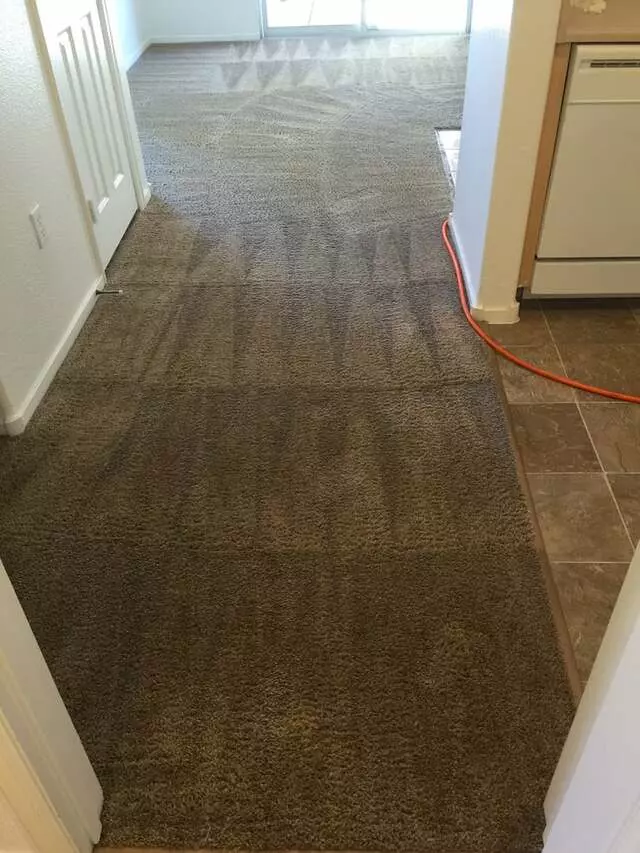 Arcane Carpet Cleaners