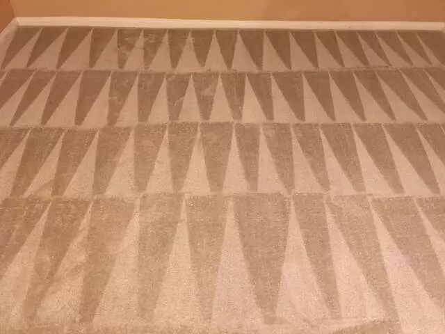 Arcane Carpet Cleaners