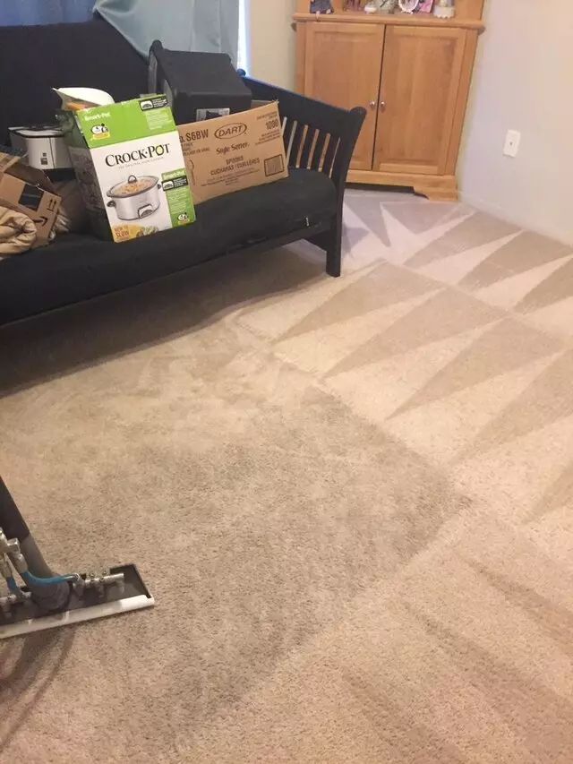 Arcane Carpet Cleaners