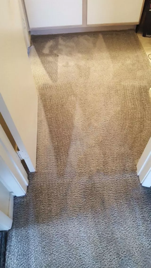 Arcane Carpet Cleaners