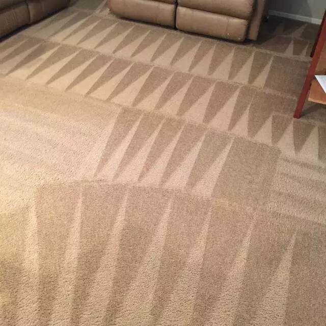 Arcane Carpet Cleaners