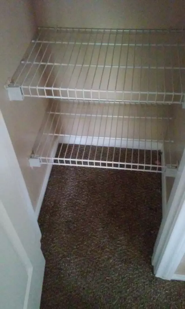 Amazing Carpet Repairs