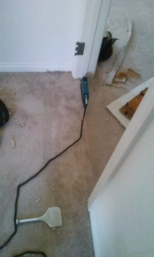 Amazing Carpet Repairs