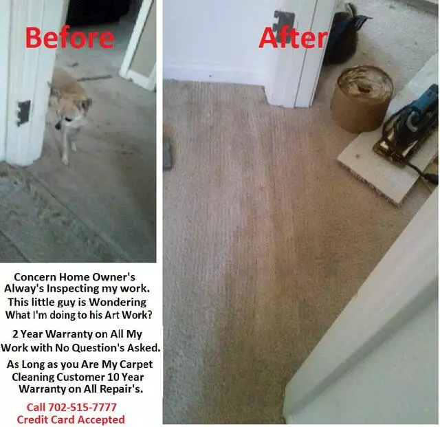Amazing Carpet Repairs