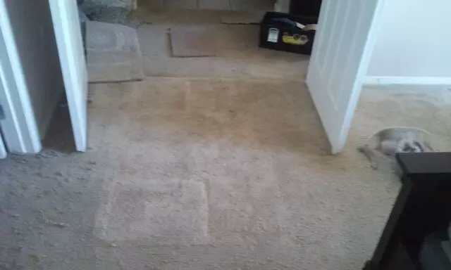 Amazing Carpet Repairs