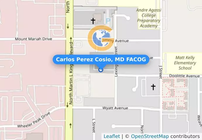 Carlos Perez Cosio, MD FACOG