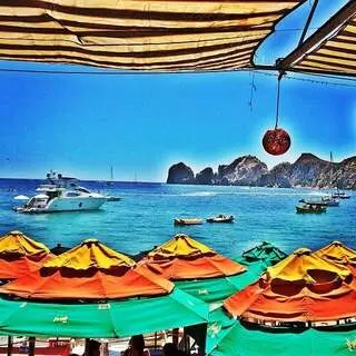 All About Cabo Discount’s