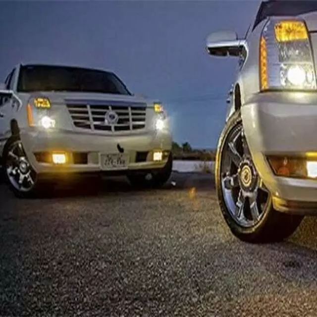 All About Cabo Discount’s