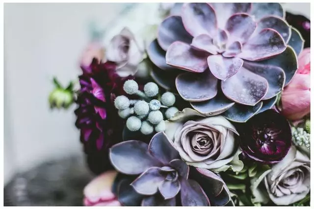 A Garden Floral