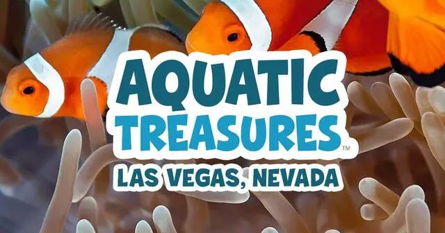 Aquatic Treasures